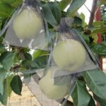 51vd80n4ial. ac us800