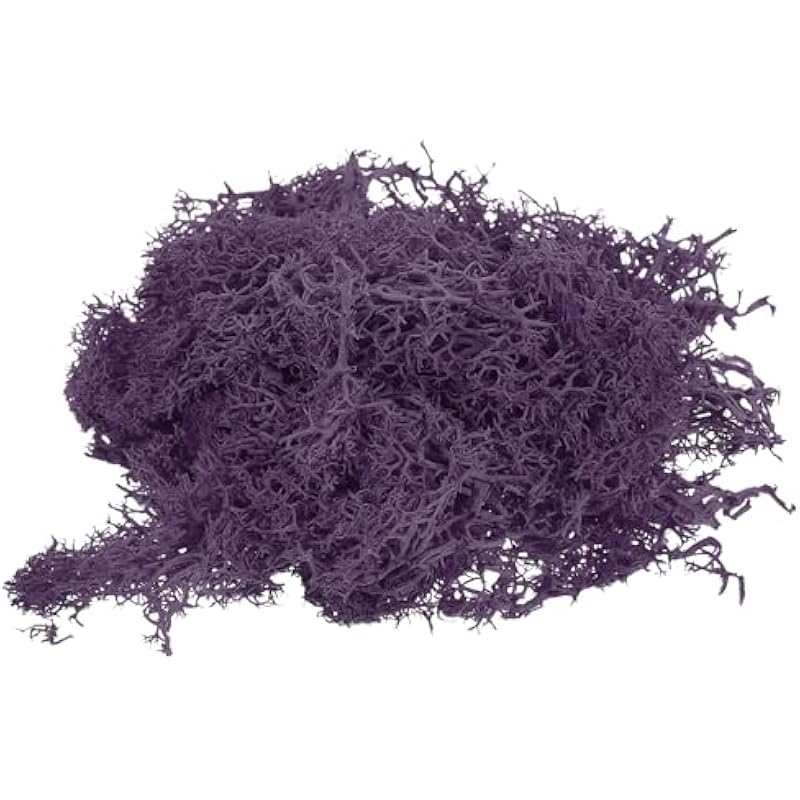 51viytg18fl. ac us800