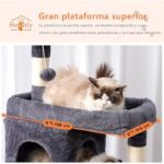 51vnshollal. ac us800