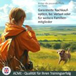 51ybr3auotl. ac us800