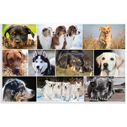 51yfzjsjqpl. ac us800