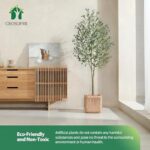 51zgtqyvwhl. ac us800