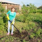 61 smsxcdl. ac us800