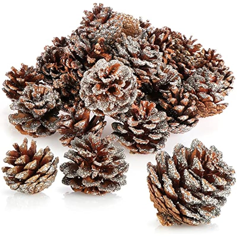 61dtssvftgl. ac us800