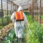 61dxz8huxpl. ac us800