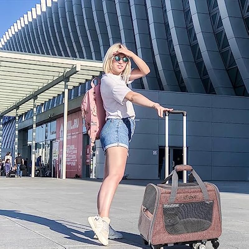 61kapd0rypl. ac us800