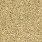 71esxifgtgs. ac us800